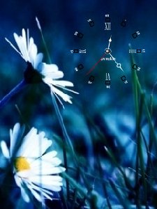 Blue nightrom