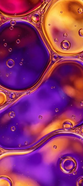 adapted 1080x2408 1775890387