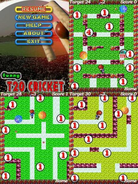 Funny T20 Cricket 176x208 N72