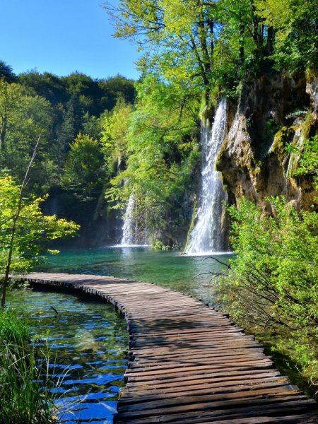 1e28d8c4984d5e593529a1a2ddecf3bb