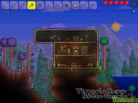 com and games505 TerrariaPaid1 1 5822