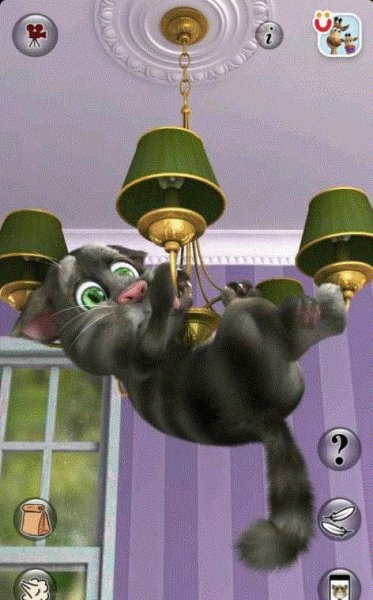 Talking Tom Cat 2 v.4.5