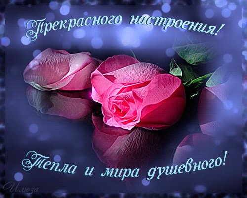 Анимированная открытка прекрасного настроения (1)