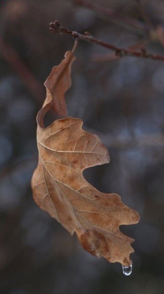 file_95147561
