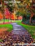 autumn colour