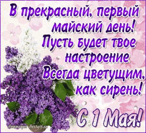 file_77431883