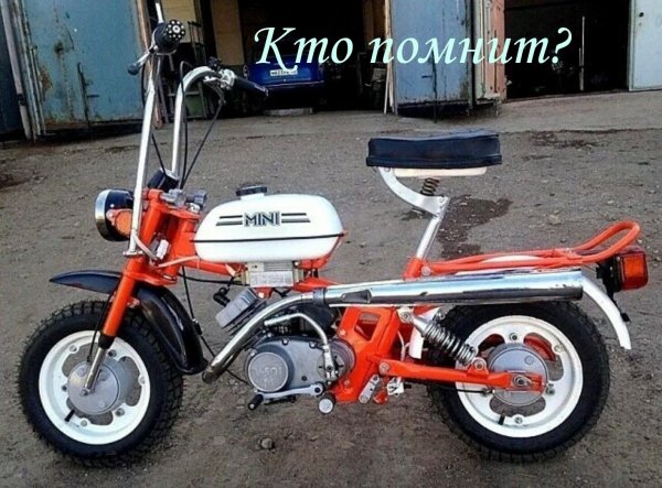 file_87052581