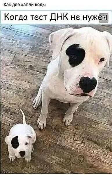 FB IMG 1774112250147