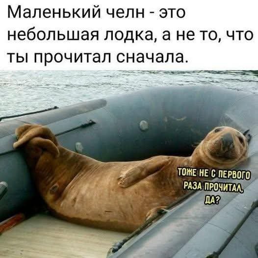 FB IMG 1777392886080