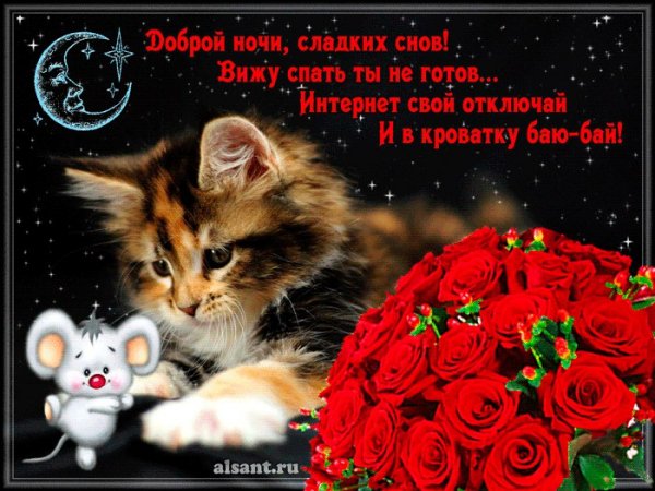 Доброй ночи! Сладких снов!