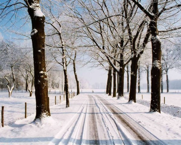 Зима. Дорога.