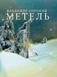 Сорокин - Метель