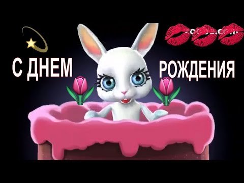 file_81279174