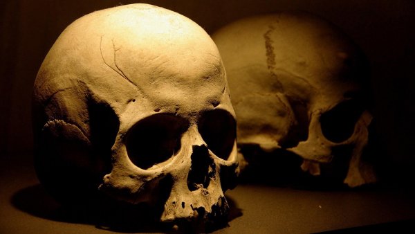 XIII 2 Covert Identity nok 240x320