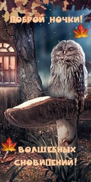 file_93186251