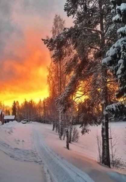 Зимний закат