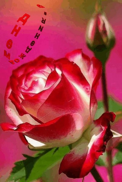 С Днём рождения!