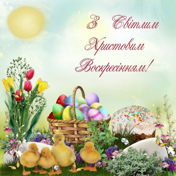 file_84185449