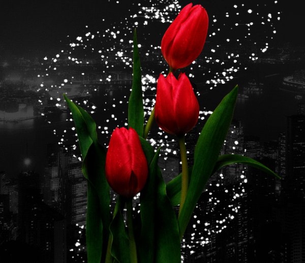 C38bd40bf033e198226fc822d5a833b7