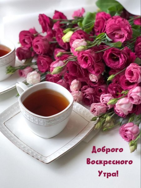 Dobroe-utro-kartinki ru 4023