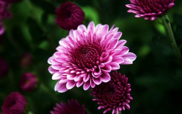 file_90539957