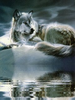 file_2762204