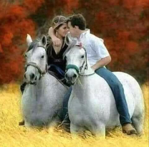 FB IMG 16286545524865551