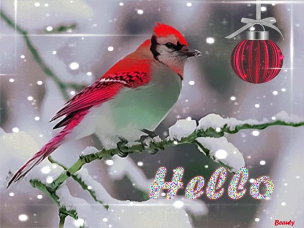 file_76357307