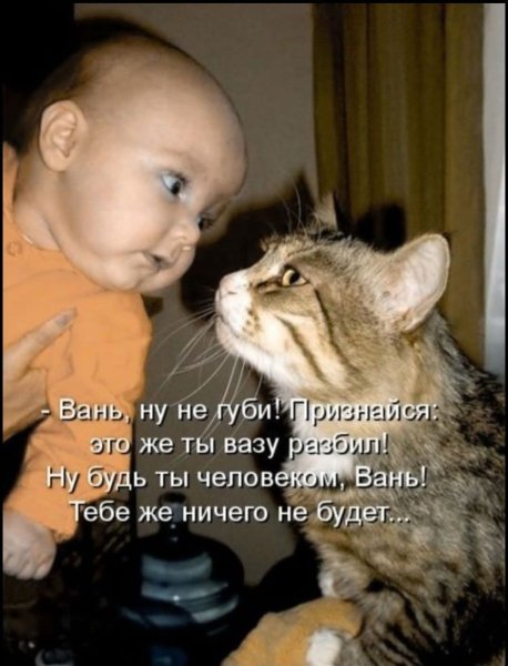 FB IMG 1777225920045