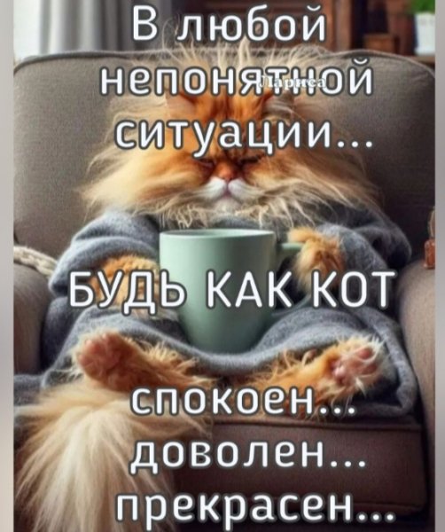 Screenshot 20250214 173739