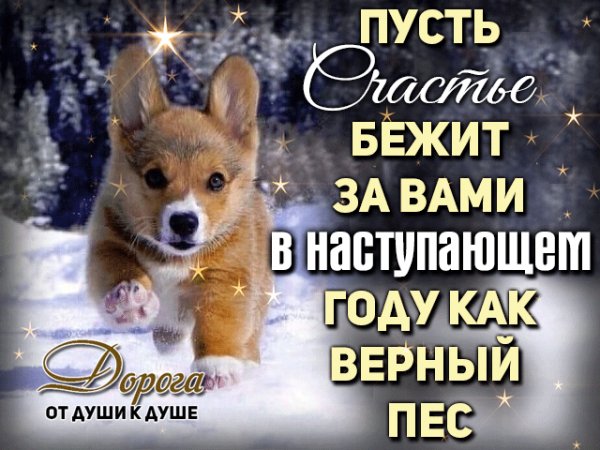 IMG 20171229 083750 0