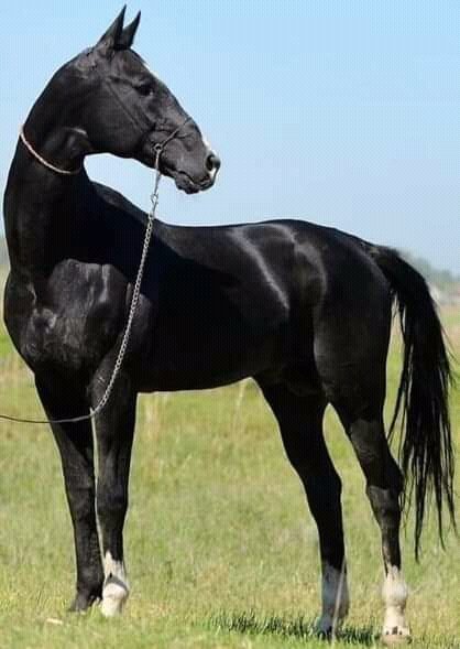 FB IMG 16312995430500799