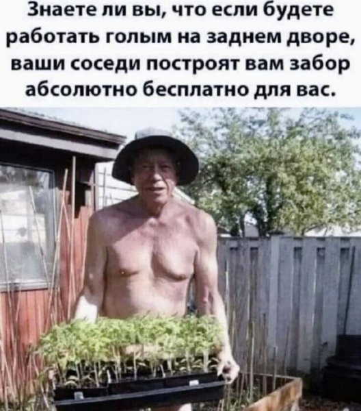 IMG 20260818 191259