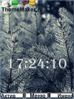 Winter forest