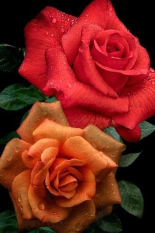file_94946253