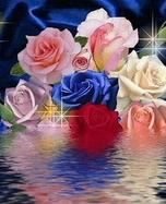 file_53343496