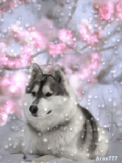 file_35533371