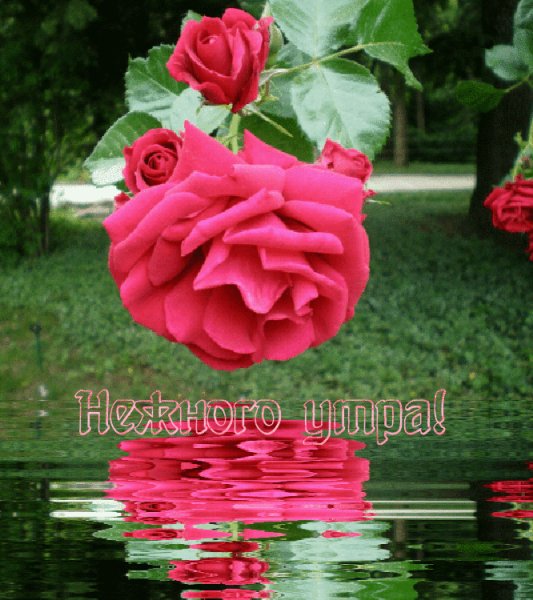 0 28aa2f 19e774f6 orig