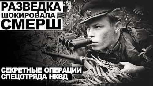 12. Дело номер 012
