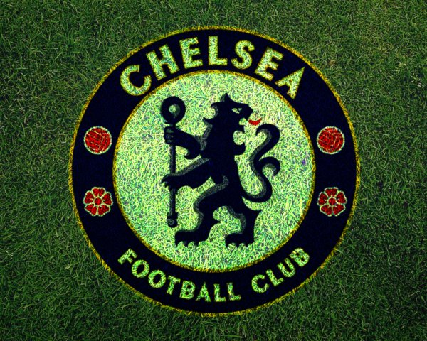 Chelsea football club logo on green grass 136547 10