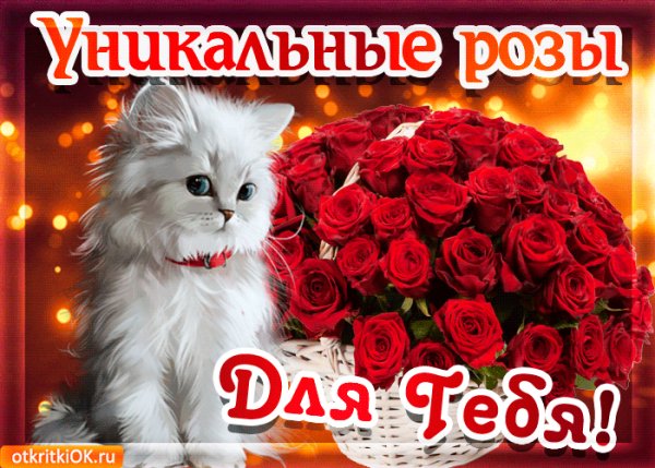 Уникальные розы для тебя!