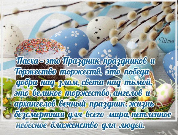 file_81317601