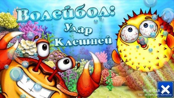 Волейбол с Крабами
