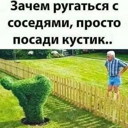FB IMG 1780695246522