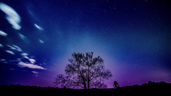 purple sunset landscape 4k 8k