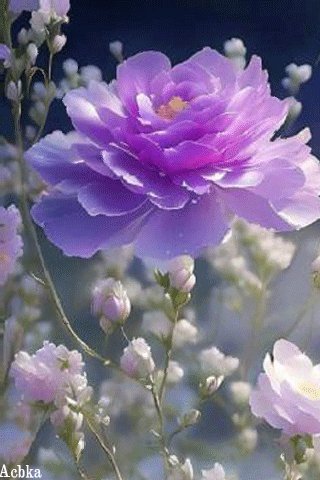 file_93170797