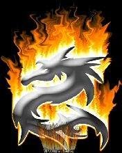 Dragon Fire V31