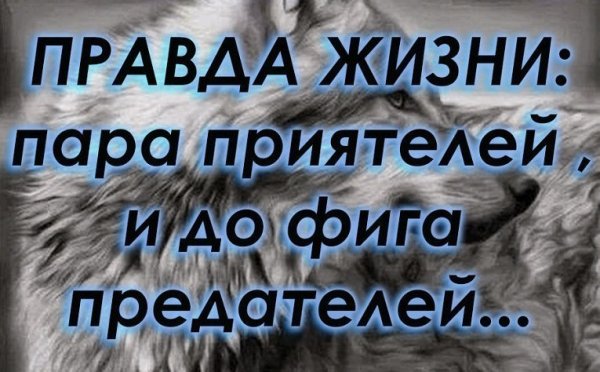 Правда жизни