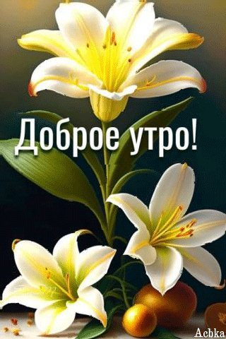 file_94269111