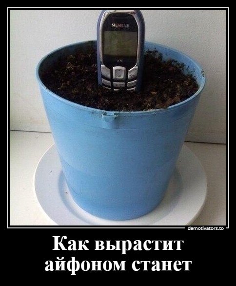 Как вырастит айфоном станет